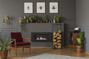 Plant next to red wooden armchair in grey living room interior with posters above fireplace. Real...
