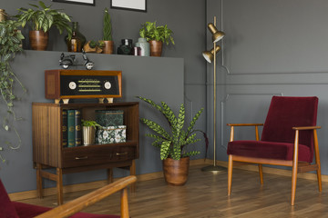 Radio on wooden cabinet next to plant and red armchair in grey vintage living room interior. Real...