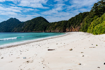 A beautiful deserted tropical island beach surrounded by lush green jungle