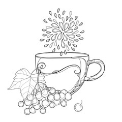 Vector drawing of contour glass with Viburnum or Guelder rose herbal tea, ornate leaves and berry in black isolated on white background. Outline bunch of Viburnum for autumn design or coloring page.