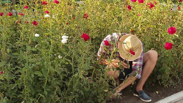 Florist working with soil in the nursery of flowers