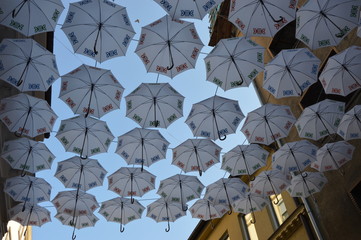 Na  szlaku Słowackim - Bratysławskie parasolki  - obrazy, fototapety, plakaty