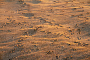 Sunrise in Holland, Arnhem(Gelderland)