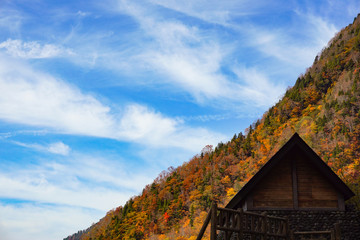Fototapeta premium Autumn leaves of the mountains. 山々の紅葉 日本 富山県立山町 立山駅、称名滝周辺