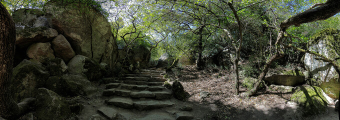 Vorontsovsky Park in the Crimea