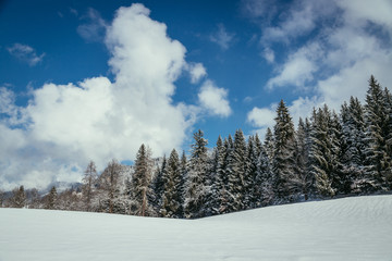 Winterlandschaft: Beschneite Wiese, Wald, Berge und blauer Himmel