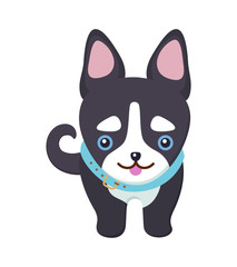 Siberian Husky Dog Picture Vector Illustration