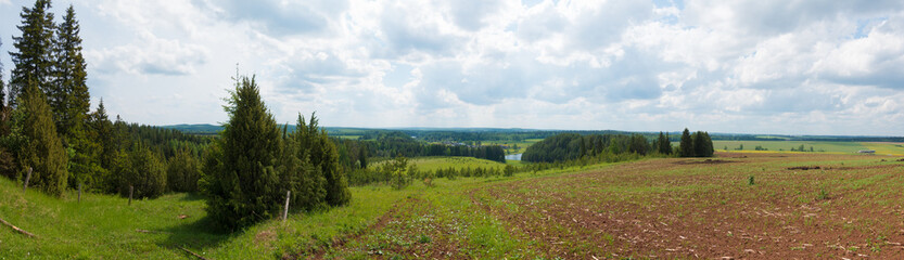 Fototapeta premium Panorama of a meadow with green grass and trees