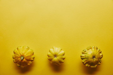 Summer squashes in a row on yellow background