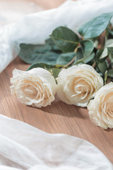 Three white, beige roses lie on a wooden table. On the table lie roses and white transparent fabric. Wedding preparations.
