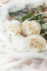 Three white, beige roses lie on a wooden table. On the table lie roses and white transparent fabric. Wedding preparations.