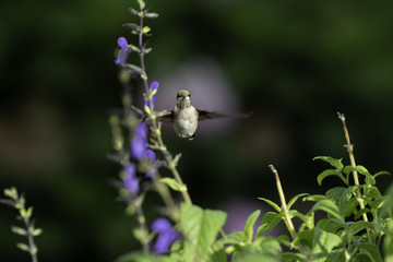 Popping Up for a Look