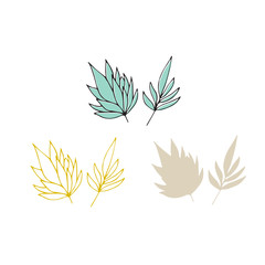 Vector hand drawn seaweeds. Isolated individual objects, algae.