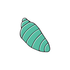 Vector hand drawn sea shell. Isolated individual object.