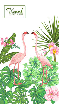 Template of poster, banner, postcard with tropical flowers and plants and flamingo bird on white background. Stock vector illustration © Elen Lane