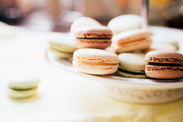 Homemade French Macaroons on the Plate, Pistachio, Coffee and Vanilla Macaroons, Beautiful Wallpaper