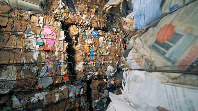 Compressed litter blocks of carton and paper. Waste recycling concept.