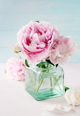 Wunderschöne rosa Pfingstrosen in einer Vase