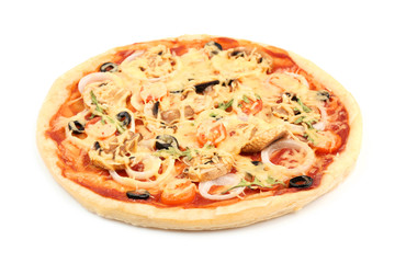 Tasty pizza on white background