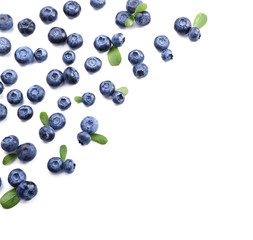 Ripe blueberries on white background