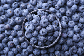 Bowl with fresh ripe blueberries, top view