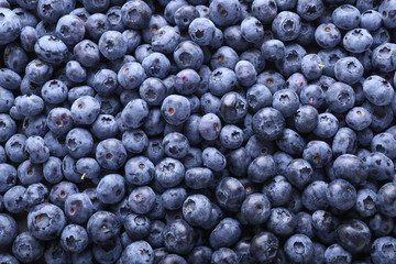 Fototapeta na wymiar Fresh ripe blueberries as background