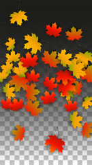 September Vector Background with Golden Falling Leaves. Autumn Illustration with Maple Red, Orange, Yellow Foliage. Isolated Leaf on Transparent Background. Bright Swirl. Suitable for Posters.