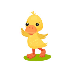 Cute funny little yellow duckling character vector Illustration on a white background