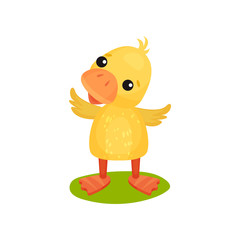 Cute little yellow duckling character standing on the grass vector Illustration on a white background