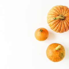 Pumpkins on white background. Fall autumn halloween concept. Flat lay, top view.