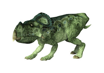 3D Rendering Dinosaur Protoceratops on White