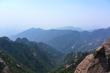 Many Pine Trees on the mountain in Huangshan,China