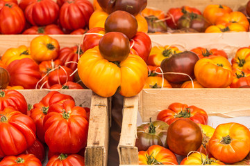 Fototapeta na wymiar Nice tomatos