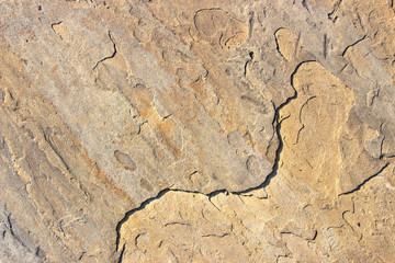 Stone background texture background natural stone close-up