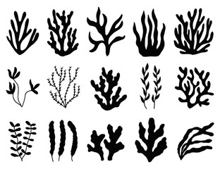 seaweed silhouette isolated. Marine plants on white background. - obrazy, fototapety, plakaty