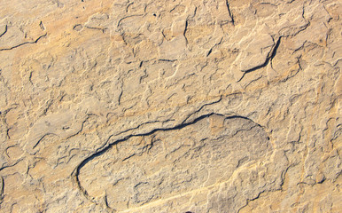 Stone background texture background natural stone close-up