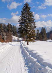 Winterparadies Bayern