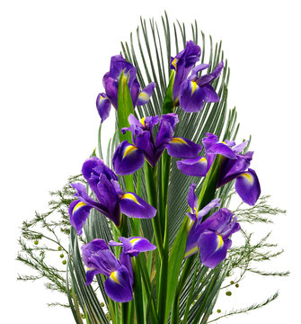 isolated image of bouquet of beautiful flowers closeup