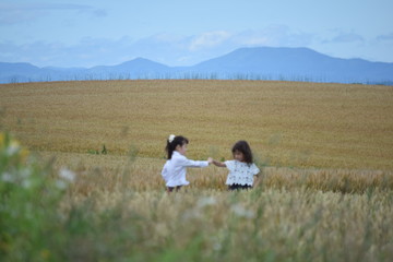Fototapeta na wymiar Two girls playing in the wheat field