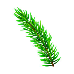 Vector illustration on Christmas tree branch isolated on white. Pine tree / fir branch. Could be used for Christmas, New year and winter decorations.