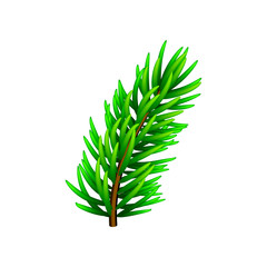 Vector illustration on Christmas tree branch isolated on white. Pine tree / fir branch. Could be used for Christmas, New year and winter decorations.