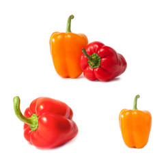 Colorful chili peppers on white background