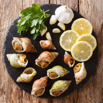Seafood:  raw whelk, sea snails bulot with a garlic and parsley, lemon close-up. top view