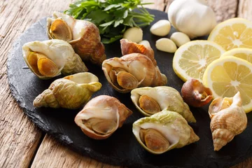 Foto auf Leinwand raw edible sea snails, whelks close-up and lemon, parsley, garlic on a slate board. horizontal © FomaA