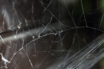white web spliced in a corner of a black woodburner - detail - obrazy, fototapety, plakaty