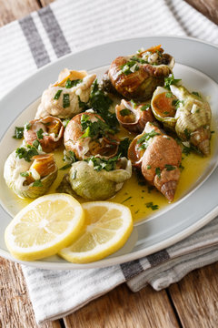 Seafood:  whelk, sea snails bulot with a sauce of butter, garlic and parsley, lemon close-up. vertical