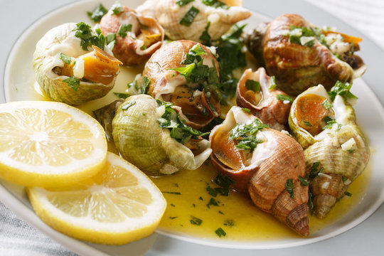 French cuisine: sea snails bulot with garlic sauce and lemon close-up. horizontal