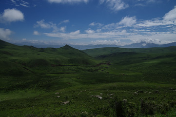 Hills are Covered with Lush and Green Grass