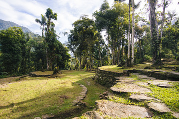 Terraces of the Lost City (Ciudad Perdida) in the Sierra Nevada de Sante Marta - Santa Marta/ Magdalena/ Colombia
