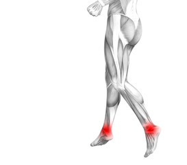 Conceptual ankle human anatomy with red hot spot inflammation or articular joint pain for leg health care therapy or sport muscle concepts. 3D illustration man arthritis or bone osteoporosis disease